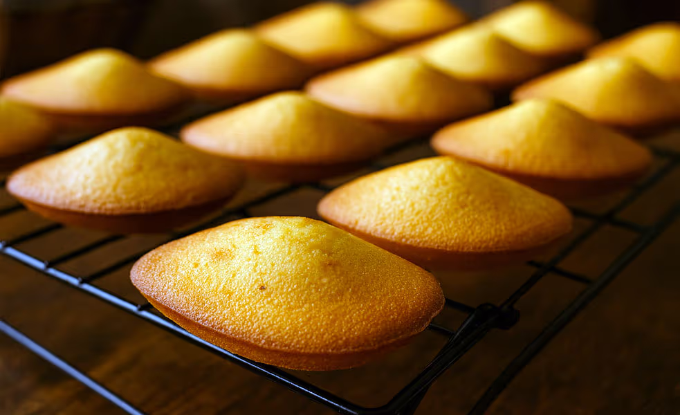 Madeleines Artisanales Citron & Vanille Bourbon - Opaleia